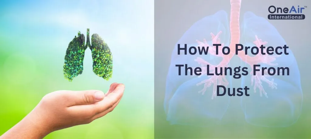 How To Protect The Lungs From Dust