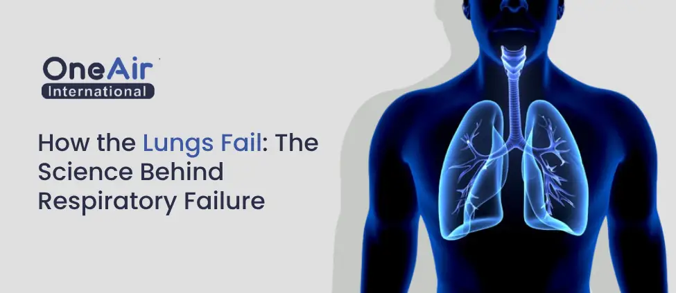 How the Lungs Fail The Science Behind Respiratory Failure
