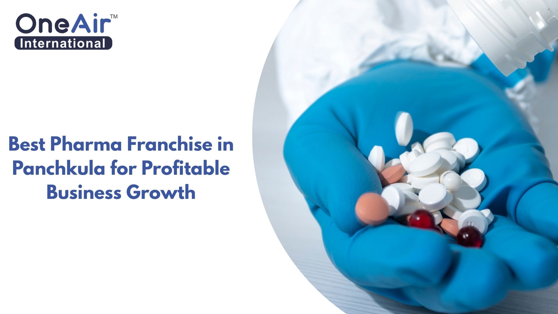 Best Pharma Franchise in Panchkula for Profitable Business Growth