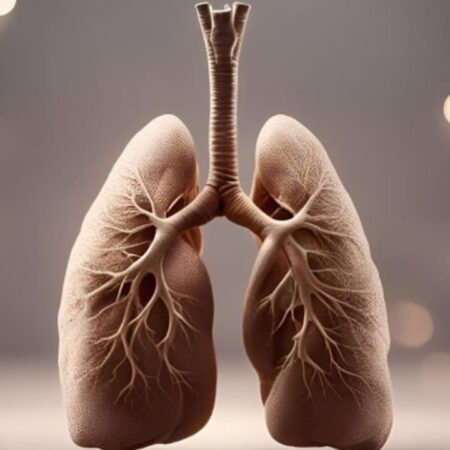 Tips to Maintain Healthy Lungs in Urban Environments